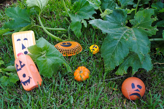 upcycled pumpkin patch