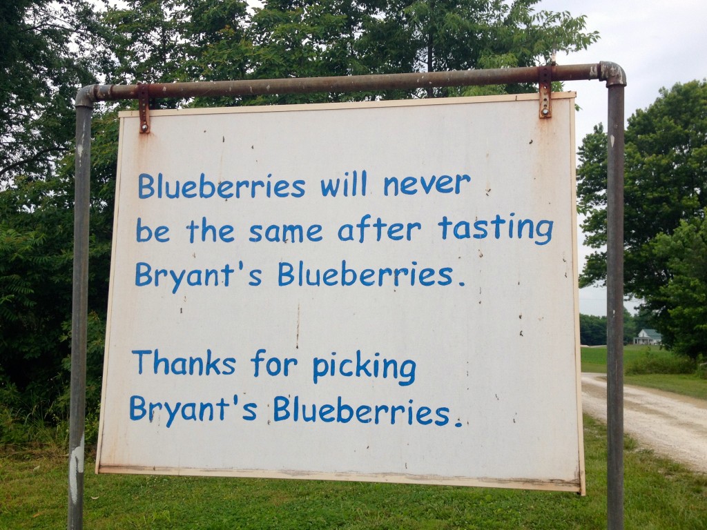 blueberry sign