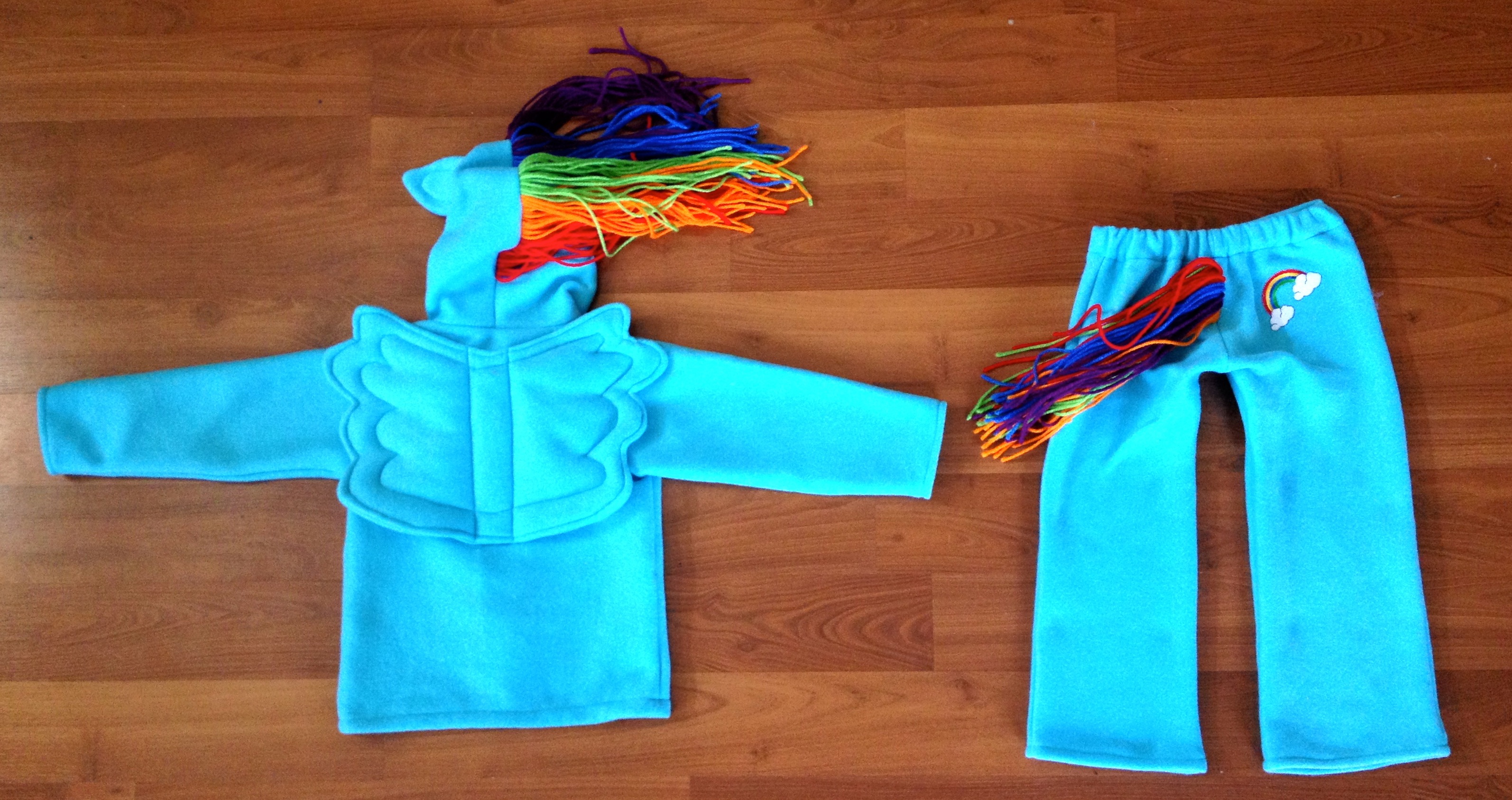 DIY Rainbow Dash Costume