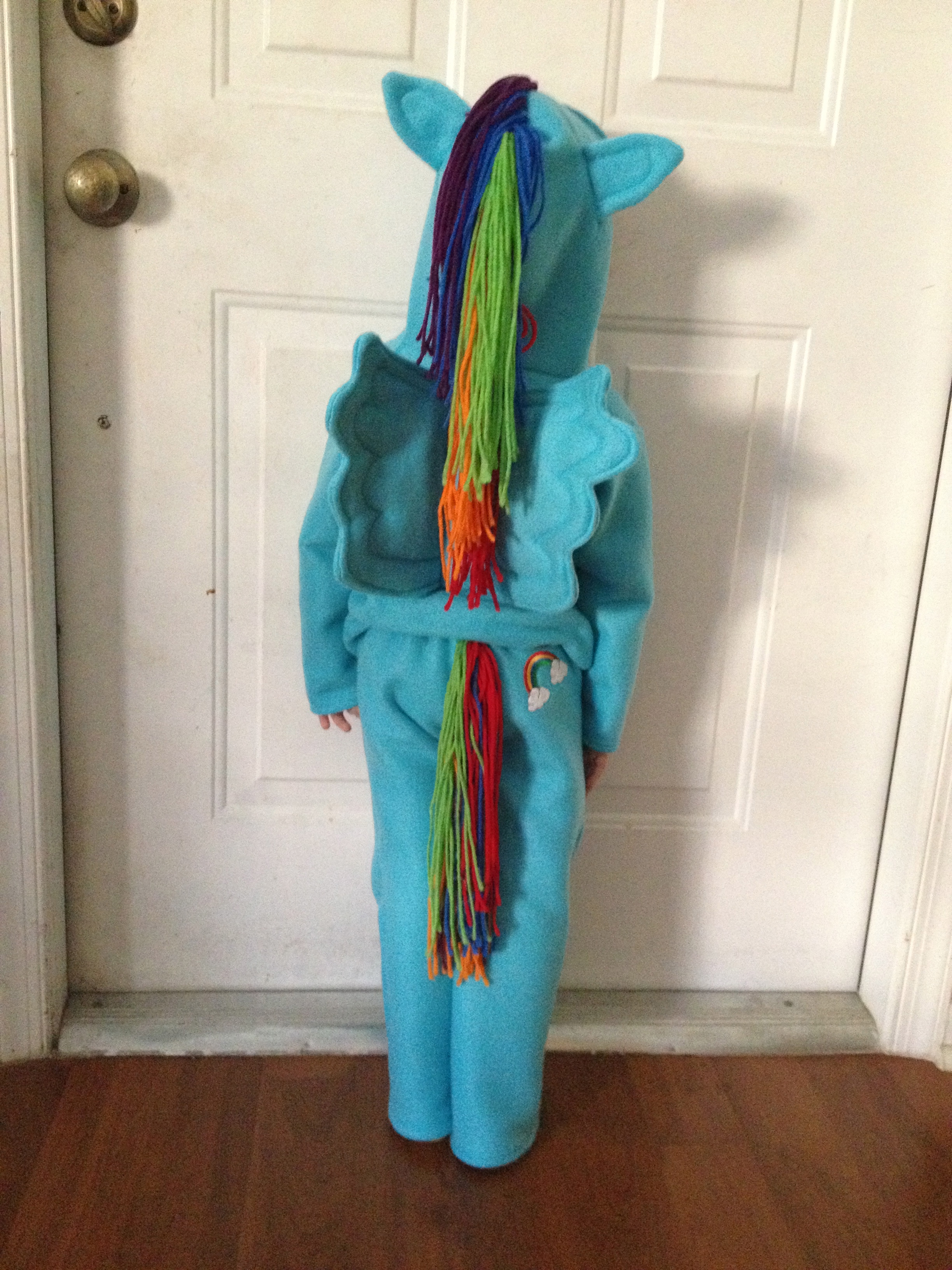 DIY Rainbow Dash Costume