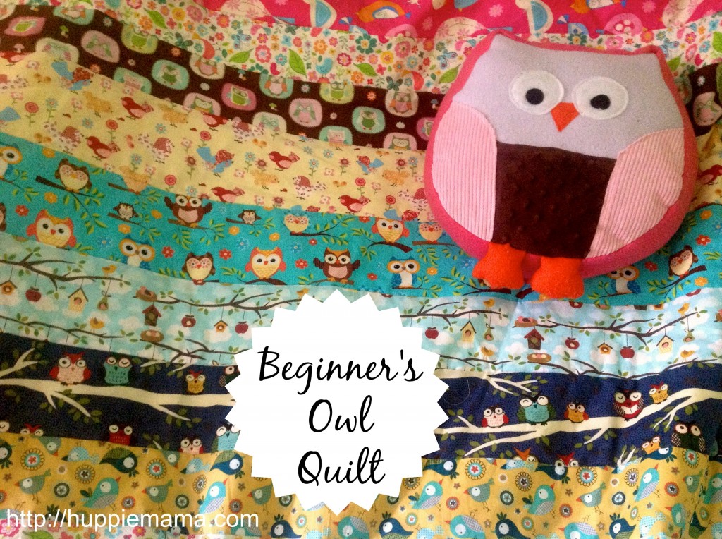 Beginner's Owl Quilt