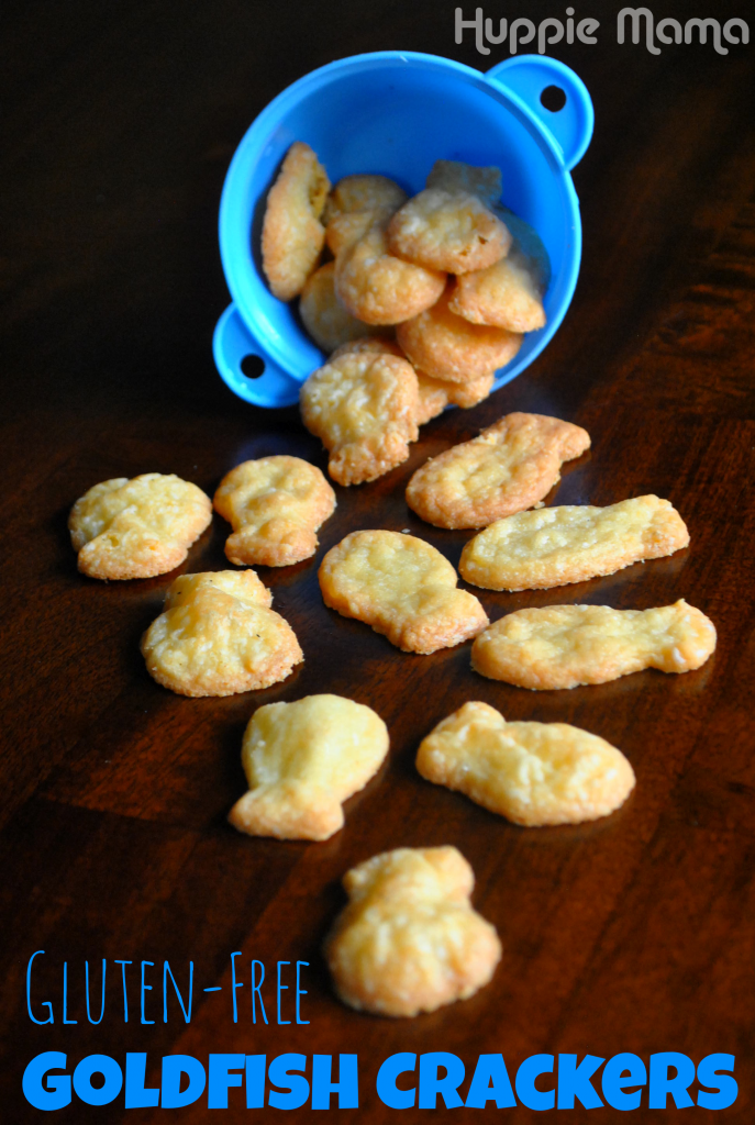 Gluten Free Goldfish Crackers Our Potluck Family