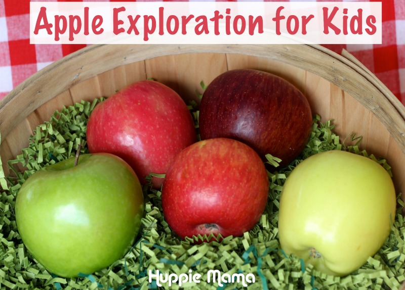 Apple Exploration for Kids