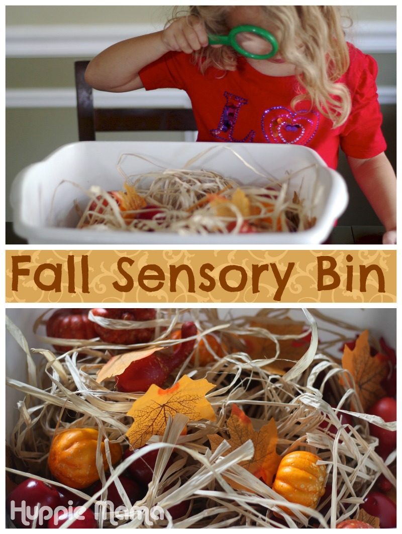 Fall Sensory Bin