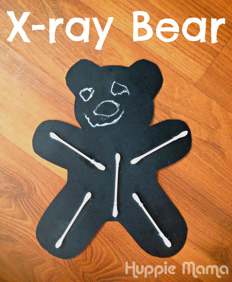 x-ray bear