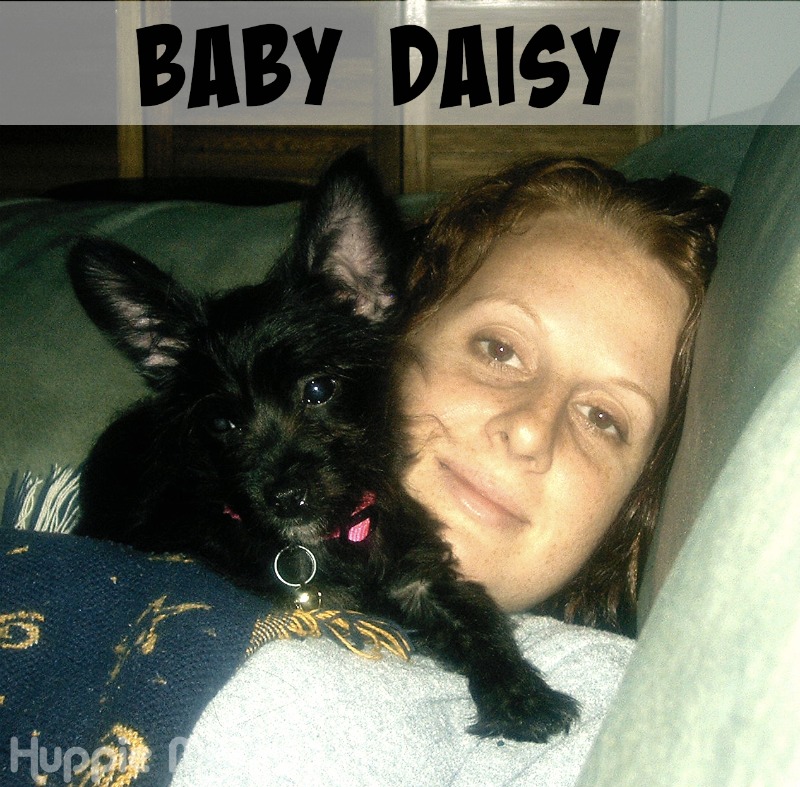 Baby Daisy