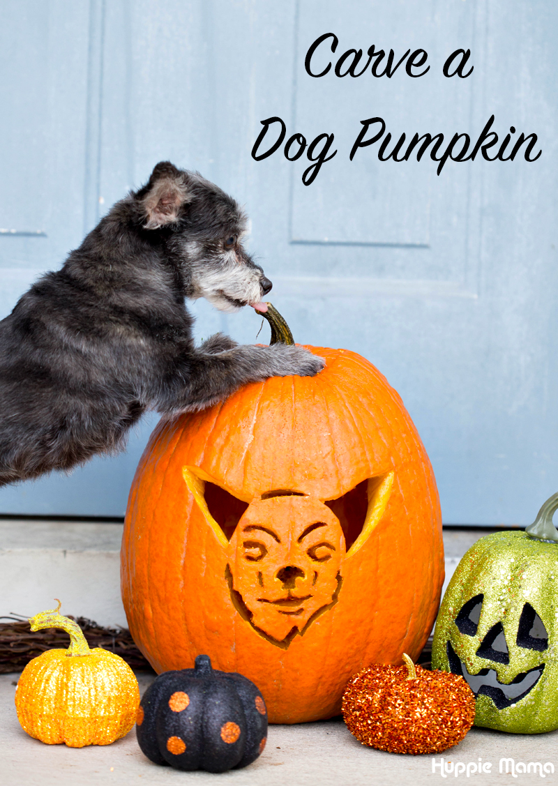 Carve a Dog Pumpkin