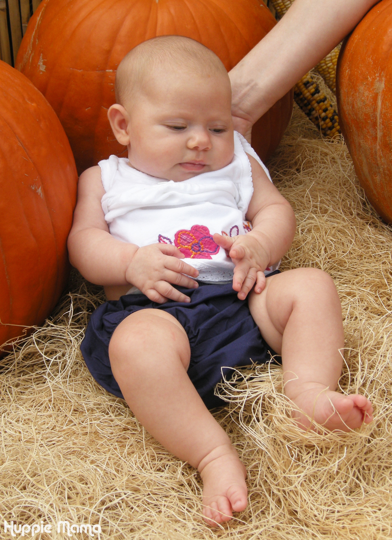 Pumpkin Patch 2009